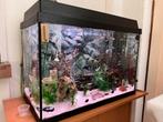 Juwel Aquarium compleet met buitenfilterpomp en vissen, Ophalen, Gebruikt, Gevuld zoetwateraquarium
