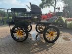 Clever marathonwagen, Gebruikt, Marathonwagen, Paard
