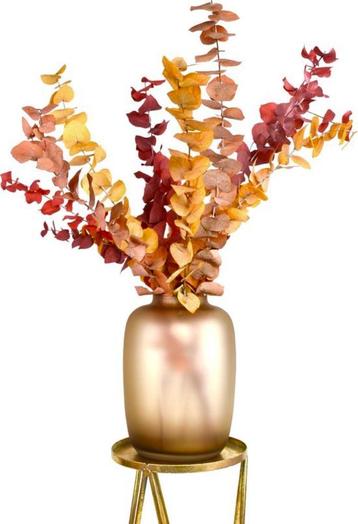Gekleurde eucalyptus takken herfst rood groen geel decoratie beschikbaar voor biedingen