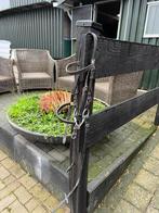 Lage neusriem hoofdstel maat pony, Ophalen of Verzenden, Zo goed als nieuw, Dressuur