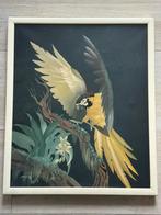 Oud tropisch Papegaai schilderij 54/64 cm, Ophalen of Verzenden