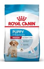 Royal Canine Puppy Medium 15 kg, Dieren en Toebehoren, Ophalen, Hond
