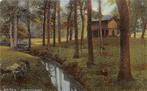 W269 Assen Hertenkamp - uitg Schaefer - 1912 -, Ophalen of Verzenden, Voor 1920, Gelopen, Drenthe
