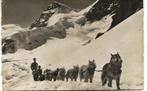 SLEDE  MET  HUSKY  HONDEN ZWITSERLAND  NR 323 Fotokaart, Verzenden, 1940 tot 1960, Ongelopen, Hond of Kat