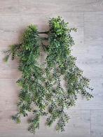 Kunsttak/plant hangend 2 stuks, Ophalen of Verzenden, Zo goed als nieuw, Binnen