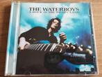 The Waterboys - A Rock in the Weary Land CD, Ophalen of Verzenden, 2000 tot heden, Zo goed als nieuw