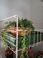 Oud brocante winkelrek/kruidenrek oud rek, Antiek en Kunst, Ophalen of Verzenden