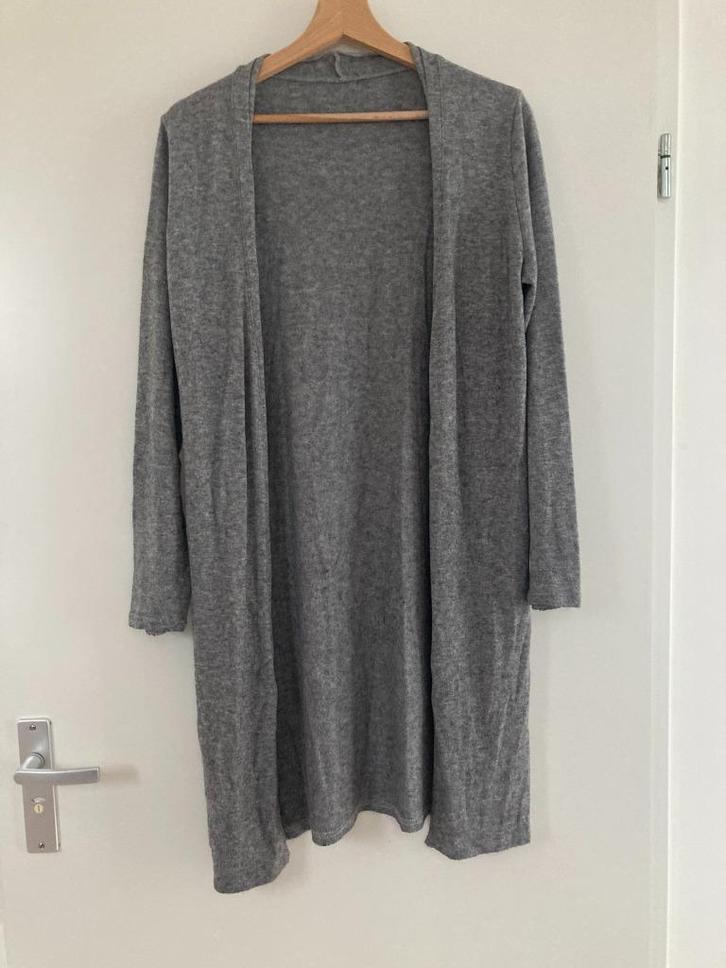 Dames vest, maat M, grijs, Kleding | Dames, Truien en Vesten, Gedragen, Maat 38/40 (M), Grijs, Ophalen of Verzenden