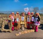 Carnaval optocht thema haar loopgroep 6 personen, Carnaval, Maat 42/44 (L), Ophalen of Verzenden, Kleding