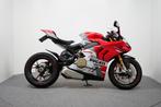 Ducati PANIGALE V4 S CORSE (bj 2024), Bedrijf, Super Sport, Meer dan 35 kW, Traction Control