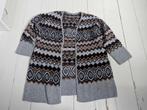 Gebreid vest van Hema, Maat 46/48 (XL) of groter, Ophalen of Verzenden, Grijs, Gedragen