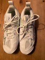 Mizuno Momentum Wave 3. Maat 39 twee keer gedragen., Sport en Fitness, Korfbal, Ophalen of Verzenden, Zo goed als nieuw, Schoenen