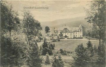 (381-225-005) Luxembourg Grundhof beschikbaar voor biedingen