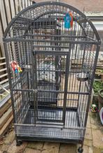 Papegaai kooi, Dieren en Toebehoren