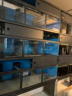 4x aquarium stelling met led verlichting, Dieren en Toebehoren, Ophalen, Gebruikt, Leeg aquarium