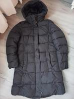 Zwarte gewatteerde jas met capuchon van h&m mt S zeer weinig, Kleding | Dames, H&M, Zwart, Ophalen of Verzenden, Zo goed als nieuw