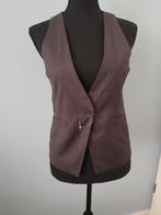 Nieuw grijze gilet van Moussy
Maat S, Moussy, Nieuw, Ophalen of Verzenden, Maat 36 (S)