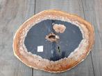 Schijf versteend palmboom hout no 3b, Verzamelen, Mineralen en Fossielen, Ophalen of Verzenden, Mineraal