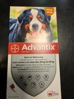 Advantix hond  40-60 kilo, Ophalen, Nieuw
