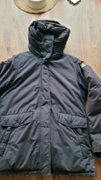 Gaastra winterjas L/XL, Kleding | Dames, Jassen | Winter, Ophalen of Verzenden, Gedragen, Maat 46/48 (XL) of groter, Blauw