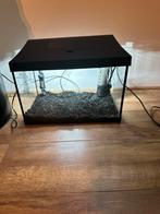 Te koop super mooi aquarium met ledverlichting, Ophalen, Zo goed als nieuw, Leeg aquarium