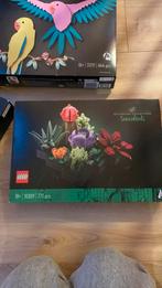 Lego 10309 succulents botanical collection, Kinderen en Baby's, Speelgoed | Duplo en Lego, Ophalen of Verzenden, Zo goed als nieuw