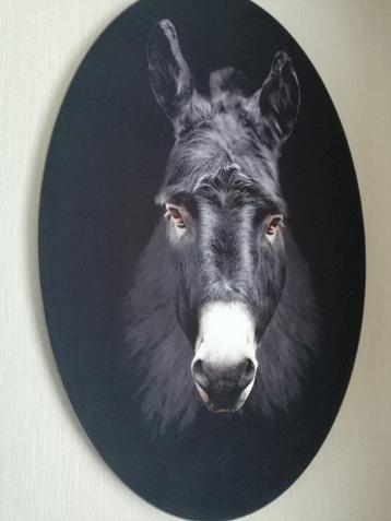 Prachtige velvet wanddecoratie Van €349,- nu € 60,- beschikbaar voor biedingen
