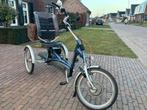 Van Raam Elektrische Driewieler - Nieuwe Mand, Ophalen, Zo goed als nieuw