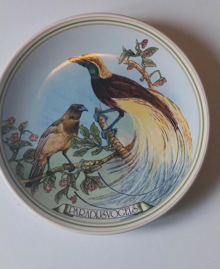 WNF Paradijsvogel Bord - Actie Oerwoud Indonesië 1983, Antiek en Kunst, Antiek | Wandborden en Tegels, Ophalen