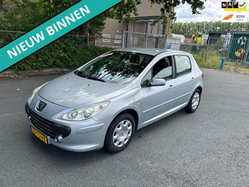 Peugeot 307 1.6-16V Oxygo LEUKE AUTO RIJDT EN SCHAKELT GOED beschikbaar voor biedingen