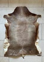 Huid / vacht / kleed (waarschijnlijk Koedoe) uit Zuid-Afrika, Ophalen, 100 tot 150 cm, Bruin, 50 tot 100 cm