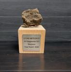 Al Haggounia 001 Meteoriet op houten sokkel, Verzenden, Mineraal