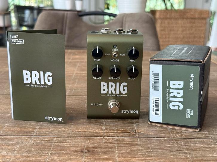 Strymon Brig dBucket Delay Pedaal, Muziek en Instrumenten, Effecten, Zo goed als nieuw, Delay of Echo, Ophalen of Verzenden