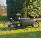 Urban Arrow Family Cargo bouwjaar 2023 slechts 484km!!1000wh, Fietsen en Brommers, Fietsen | Bakfietsen, Ophalen, Zo goed als nieuw