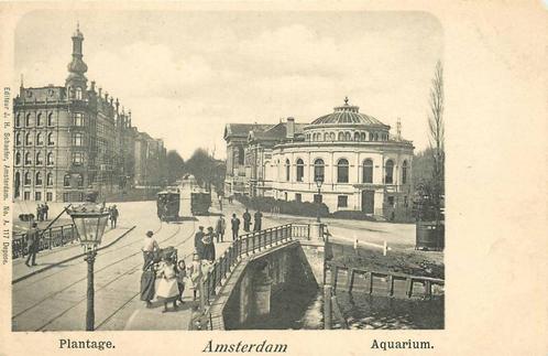 (388-552-039) Amsterdam Plantage Aquarium, Verzamelen, Ansichtkaarten | Nederland, Noord-Holland, Verzenden