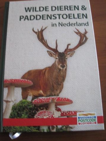 Wilde dieren & paddenstoelen in Nederland beschikbaar voor biedingen