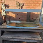 Vision 260 Terrarium, Dieren en Toebehoren, Vissen | Aquaria en Toebehoren, Ophalen