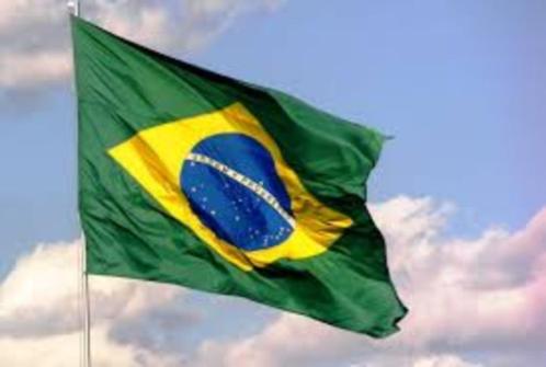 Zakelijk/Juridisch advies Brazilië, Diensten en Vakmensen, Zakelijk adviseurs en Bemiddelaars, Conflictbemiddeling, Zakelijk advies