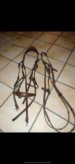 Hoofdstel horsegear, Ophalen of Verzenden, Zo goed als nieuw, Dressuur