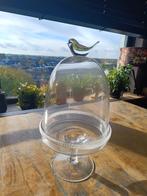 Glazen stolp vogel, Huis en Inrichting, Woonaccessoires | Overige, Ophalen