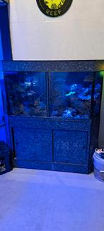 Uniek 2 in 1 aquarium te koop, Ophalen, Zo goed als nieuw, Leeg aquarium