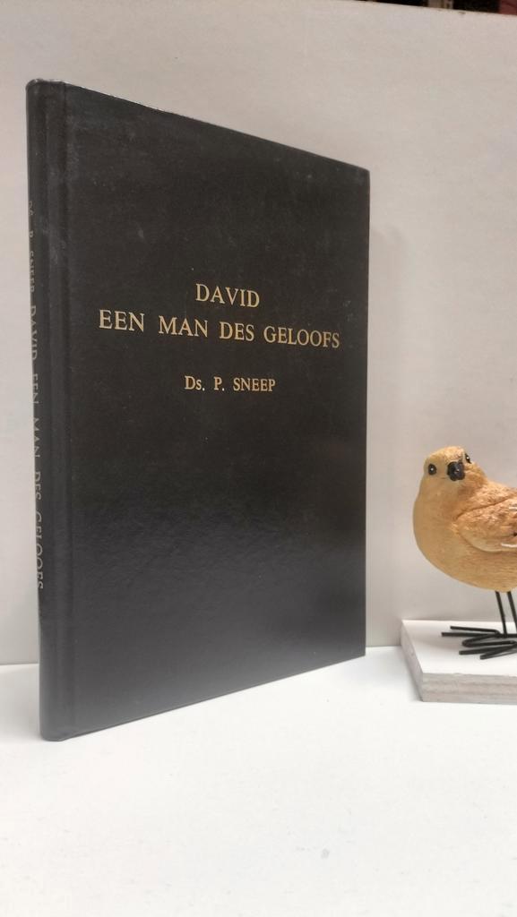 Sneep, Ds. P.; David een man des geloofs, Boeken, Godsdienst en Theologie, Gelezen, Christendom | Protestants, Ophalen of Verzenden