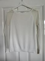 Top Patrizia Pepe maat O xs, Ophalen of Verzenden, Zo goed als nieuw, Maat 34 (XS) of kleiner