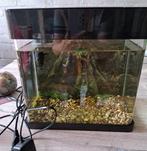 Superfish aquarium panorama 17L, Dieren en Toebehoren, Ophalen, Zo goed als nieuw, Leeg aquarium