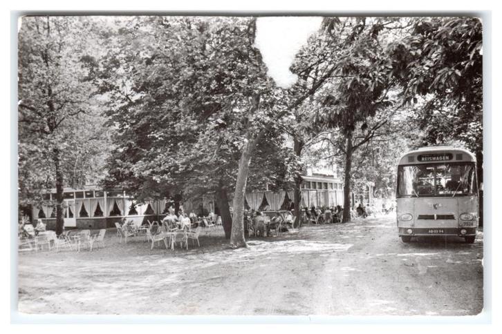 Renswoude, Café-Restaurant "De Dennen" Opruimingskaart, Verzamelen, Ansichtkaarten | Nederland, Ongelopen, Utrecht, 1960 tot 1980