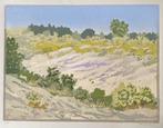Kleurhoutsnede Duinvallei, Antiek en Kunst, Kunst | Etsen en Gravures, Ophalen of Verzenden