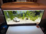 56 liter aquarium, Ophalen, Zo goed als nieuw, Leeg aquarium