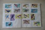 Rizla+ vogelplaatjes, Verzamelen, Ophalen of Verzenden, Vogel, Overige typen