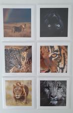Set van 6 wenskaarten Big Cats limited edition, Ophalen of Verzenden, 1980 tot heden, Wild dier