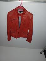 Dames jasje, Maat 38/40 (M), Ophalen of Verzenden, Zo goed als nieuw, ARMA